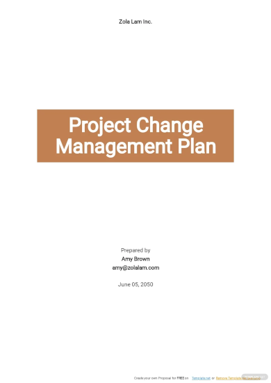 Free Simple Project Change Management Plan Template