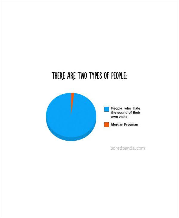 funny pie chart example1
