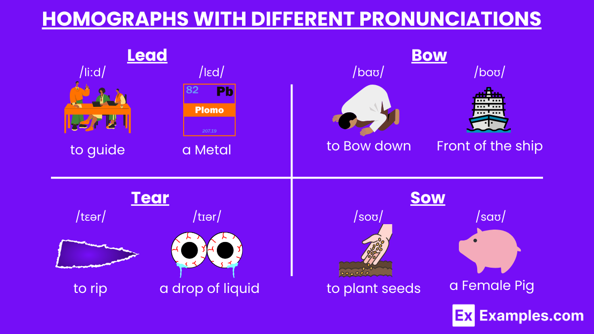 Homographs With Different Pronunciations
