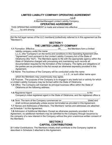 limited liability company operating agreement example1