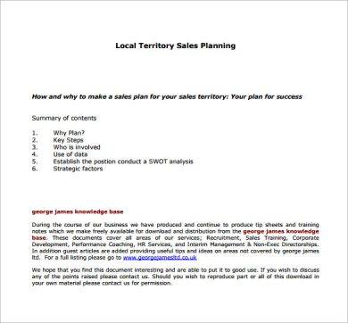 Local Territory Sales Action Plan Example
