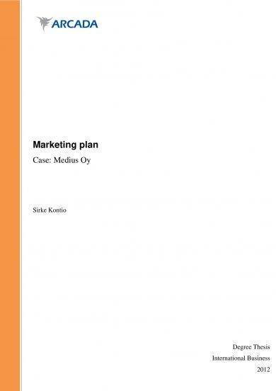 Marketing Plan With Market Audit and SWOT Analysis Example