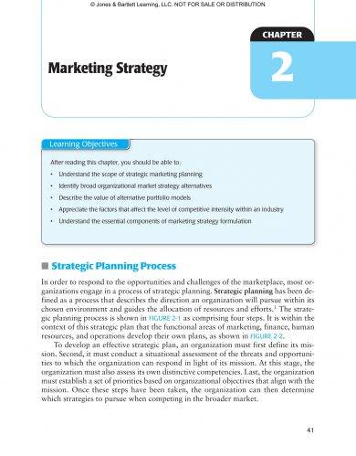 Marketing Strategy Plan Example