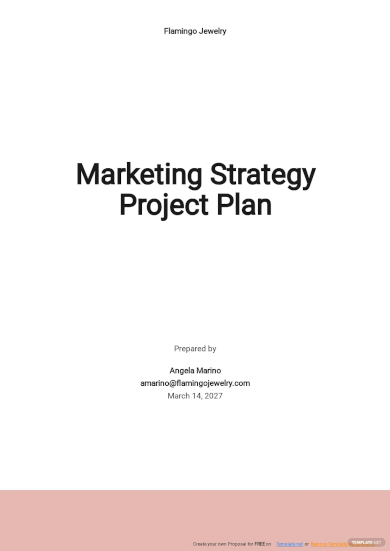 marketing strategy project plan template