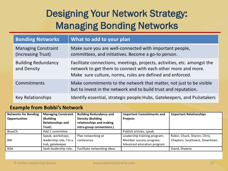 individual development plan networking