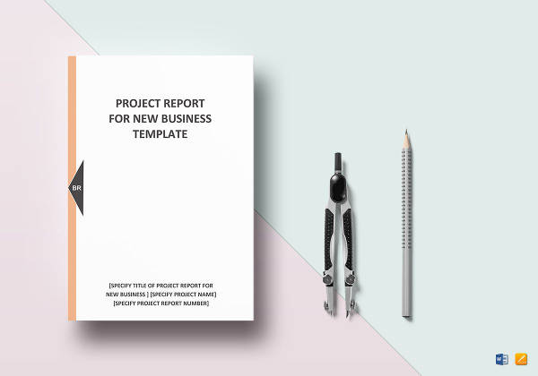 new business project report example1