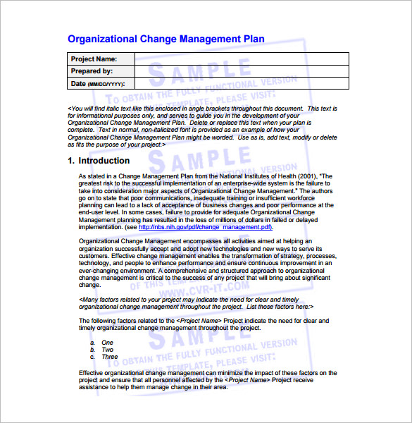 Organizational Change Management Plan Example