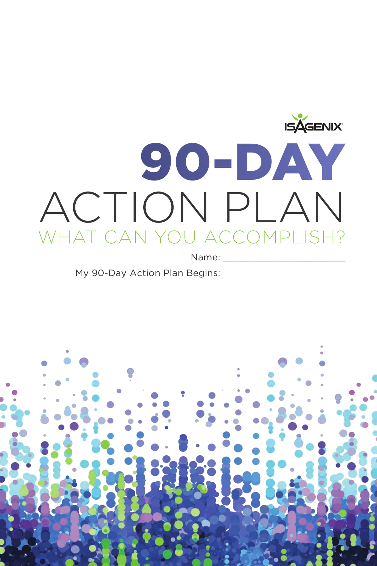 professional 90 day action plan example