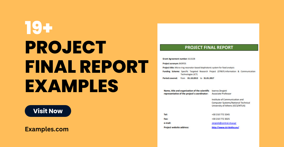 project final report examples