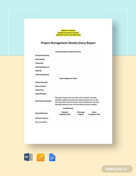 Project Summary Template Word from images.examples.com