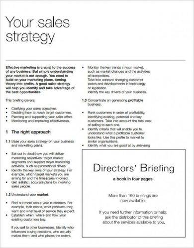 Sales Strategy Action Plan Example