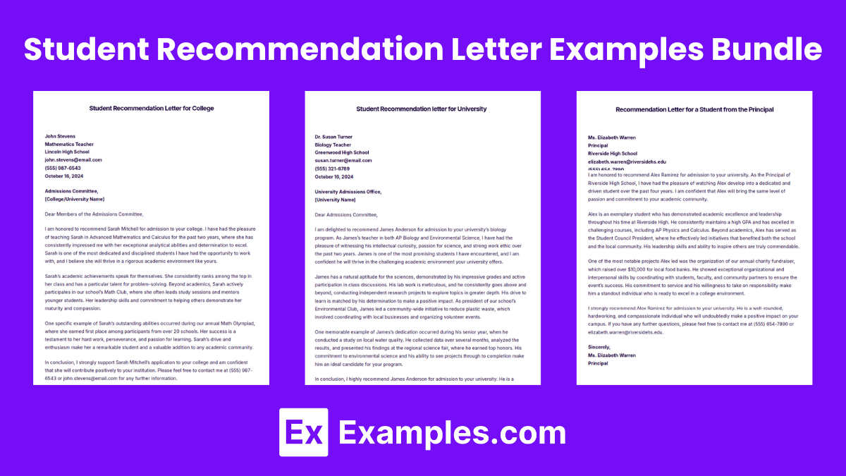 Student Recommendation Letter Examples Bundle