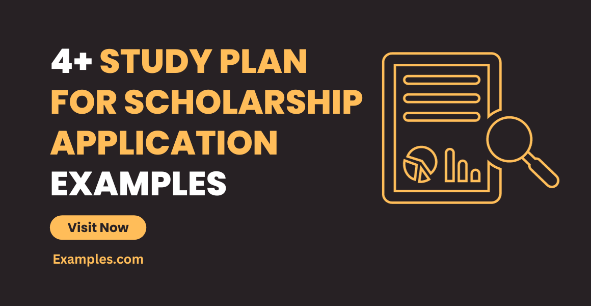 Study Plan for Scholarship Application Examples