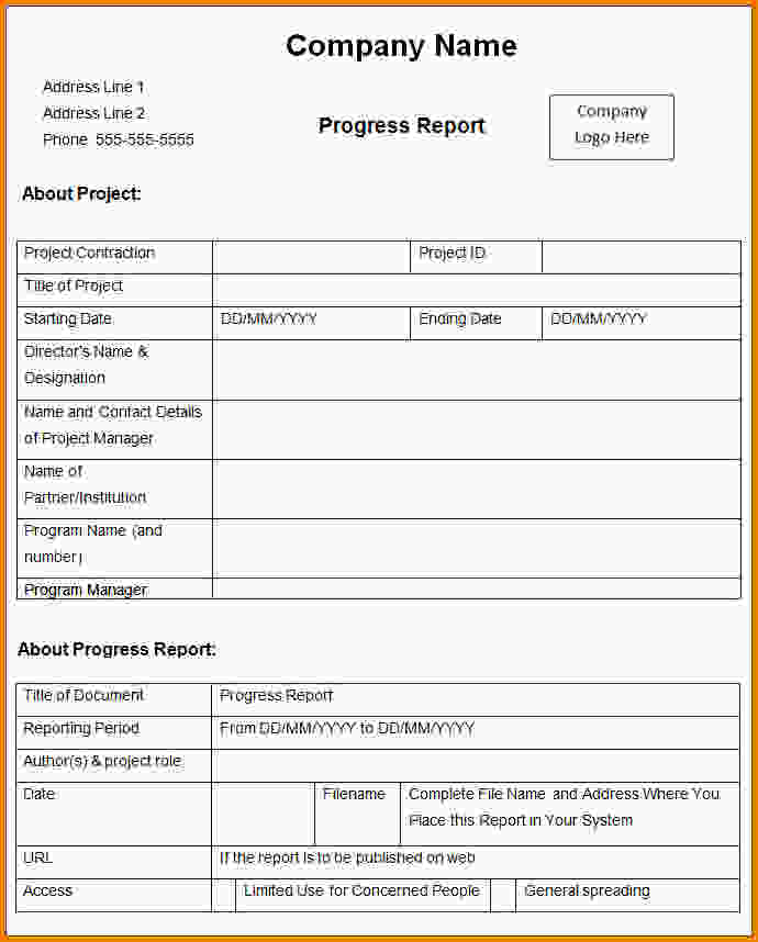 Weekly Company Status Report Example