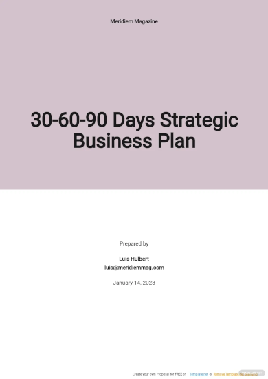 30 60 90 day strategic business plan template