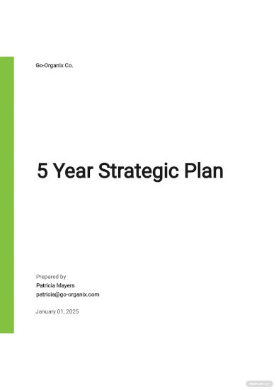 5 year strategic plan template