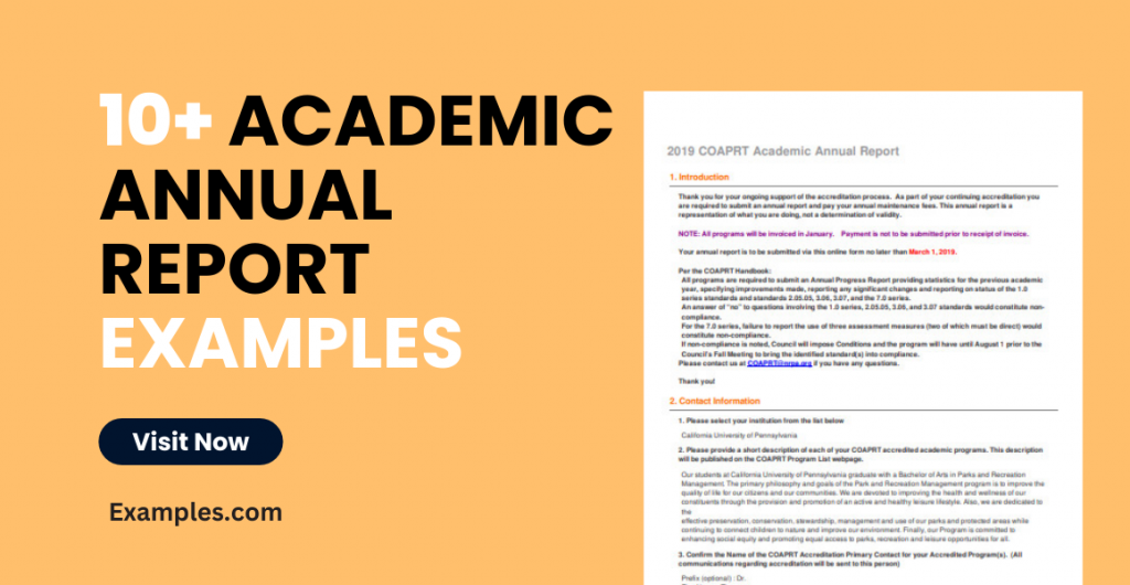 Academic Annual Report Examples
