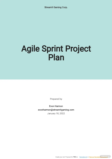 Agile Sprint Project Plan Template