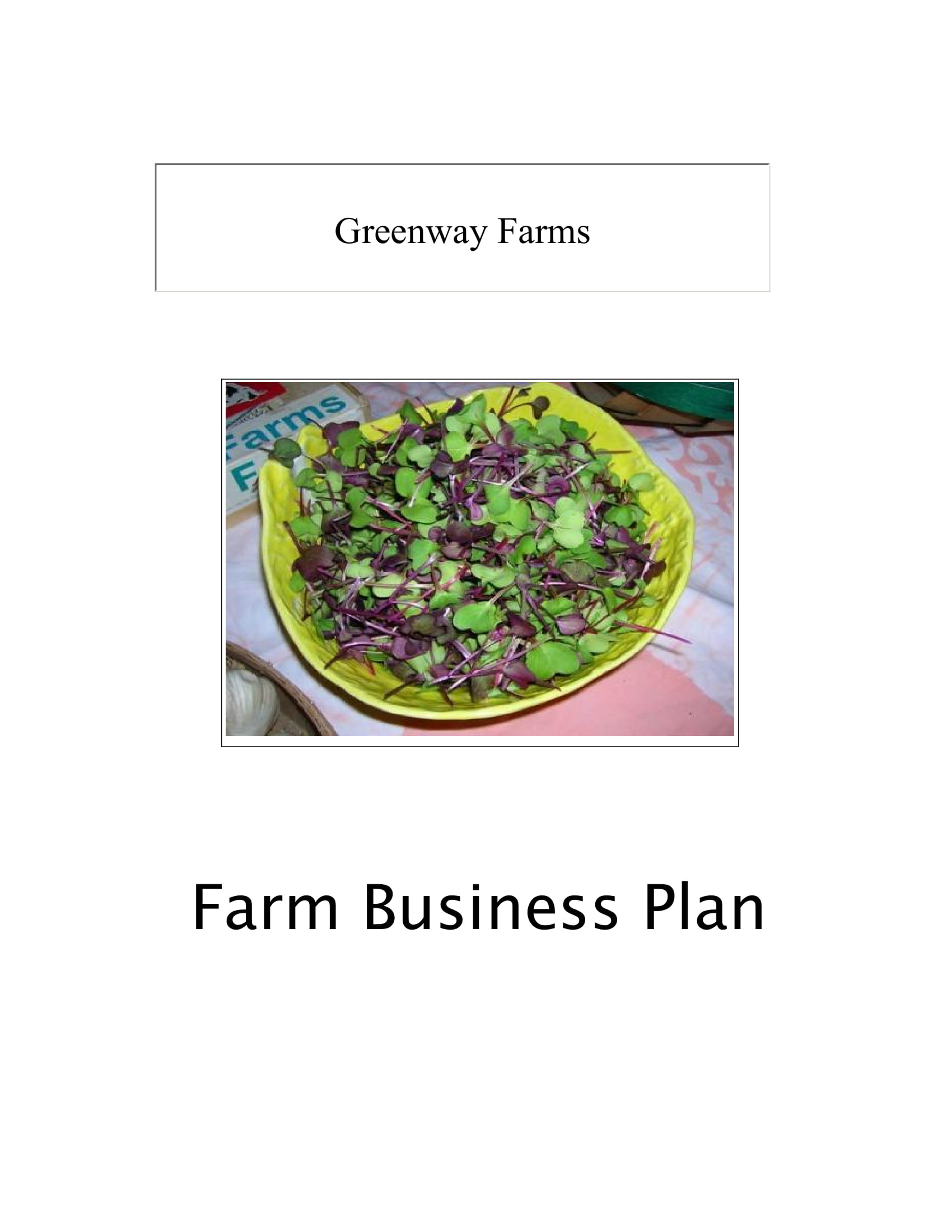 farming agricultural business plan sample pdf