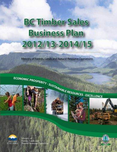 BC Timber Sales Strategic Plan Example