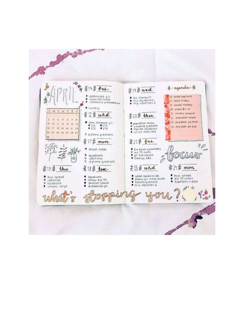 Bullet Journal 10 Examples Format Pdf Examples