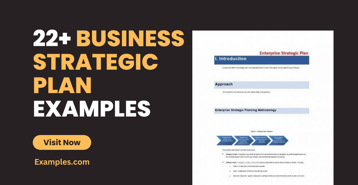 Business Strategic Plan Examples