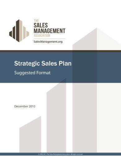 Detailed Sales Strategic Plan Example