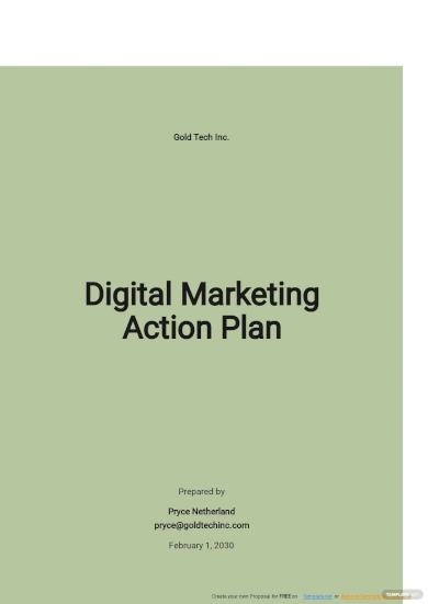Digital Marketing Plan Examples - 28+ in PDF | MS Word | Google Docs ...
