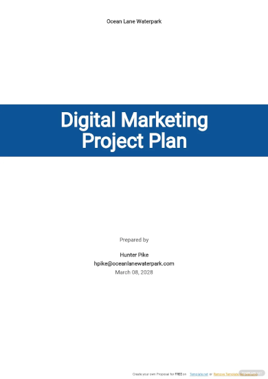 Digital Marketing Project Plan Template