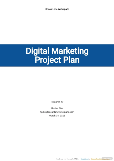 Digital Marketing Plan Examples - 28+ in PDF | MS Word | Google Docs ...