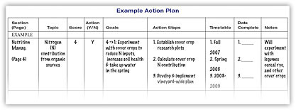 Example Action Plan