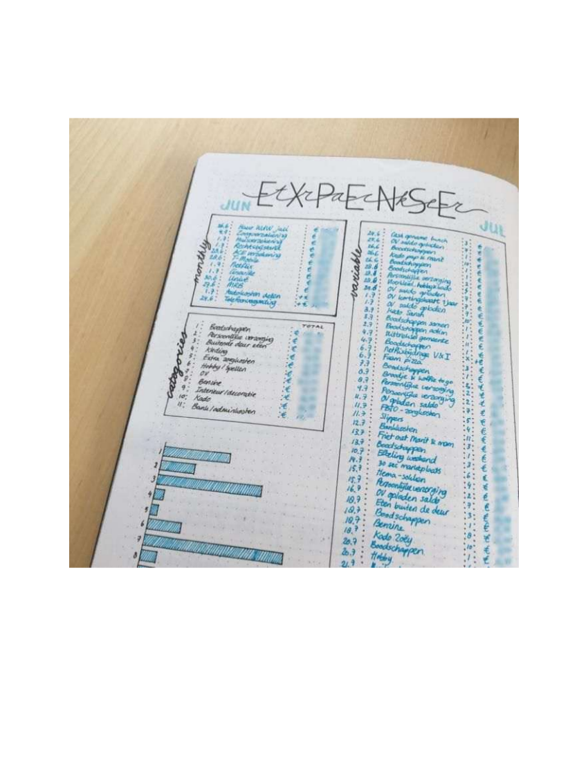 Expense Tracker Bullet Journal Example