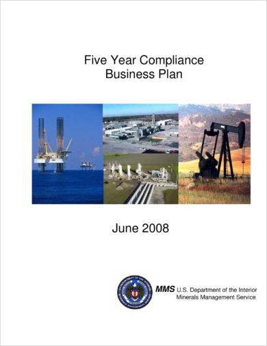 five year compliance business plan and strategies example