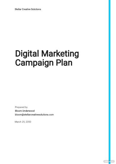 Digital Marketing Plan Examples - 28+ in PDF | MS Word | Google Docs ...