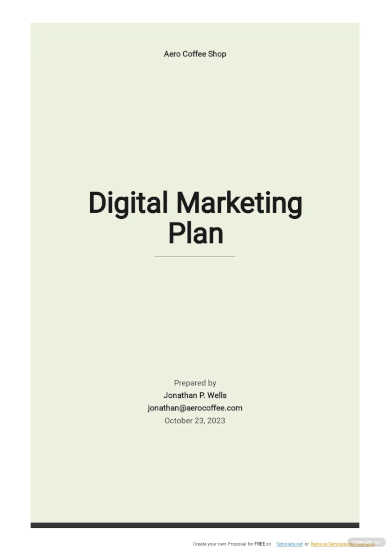 Digital Marketing Plan Examples - 28+ in PDF | MS Word | Google Docs ...