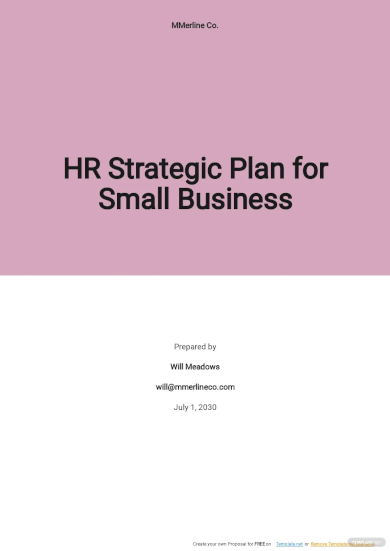 hr strategic plan template for small business