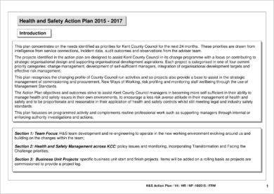 Health and Safety Action Plan Example