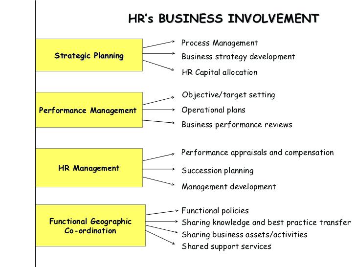 Human Capital Business Involvement Example