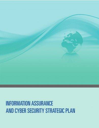 Information Assurance and Cyber Security Strategic Plan Example