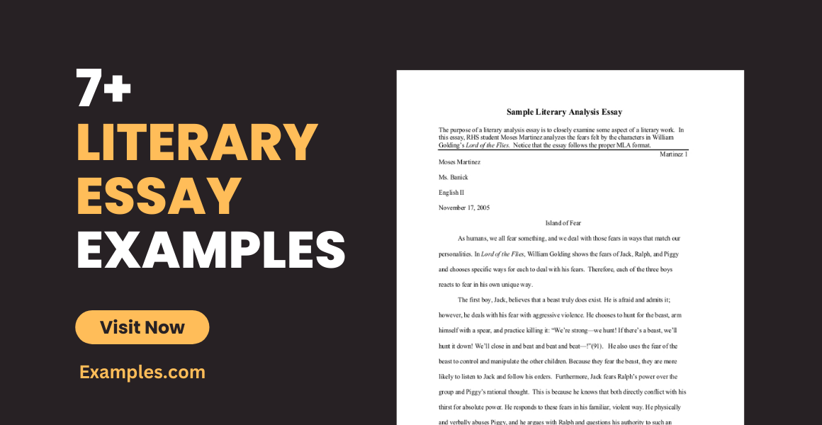 5th grade literary essay examples