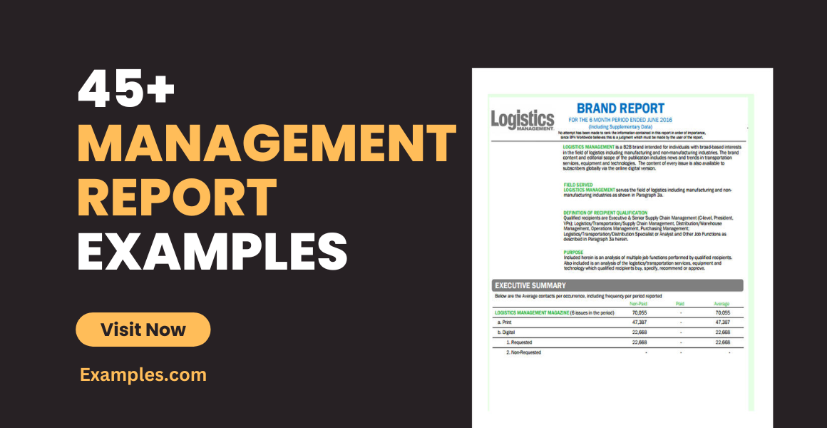 Management Report Examples