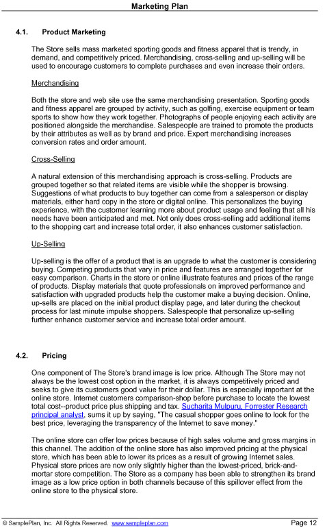 11+ Business Marketing Plan Examples - PDF, Word | Examples