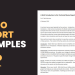 Memo Report Examples