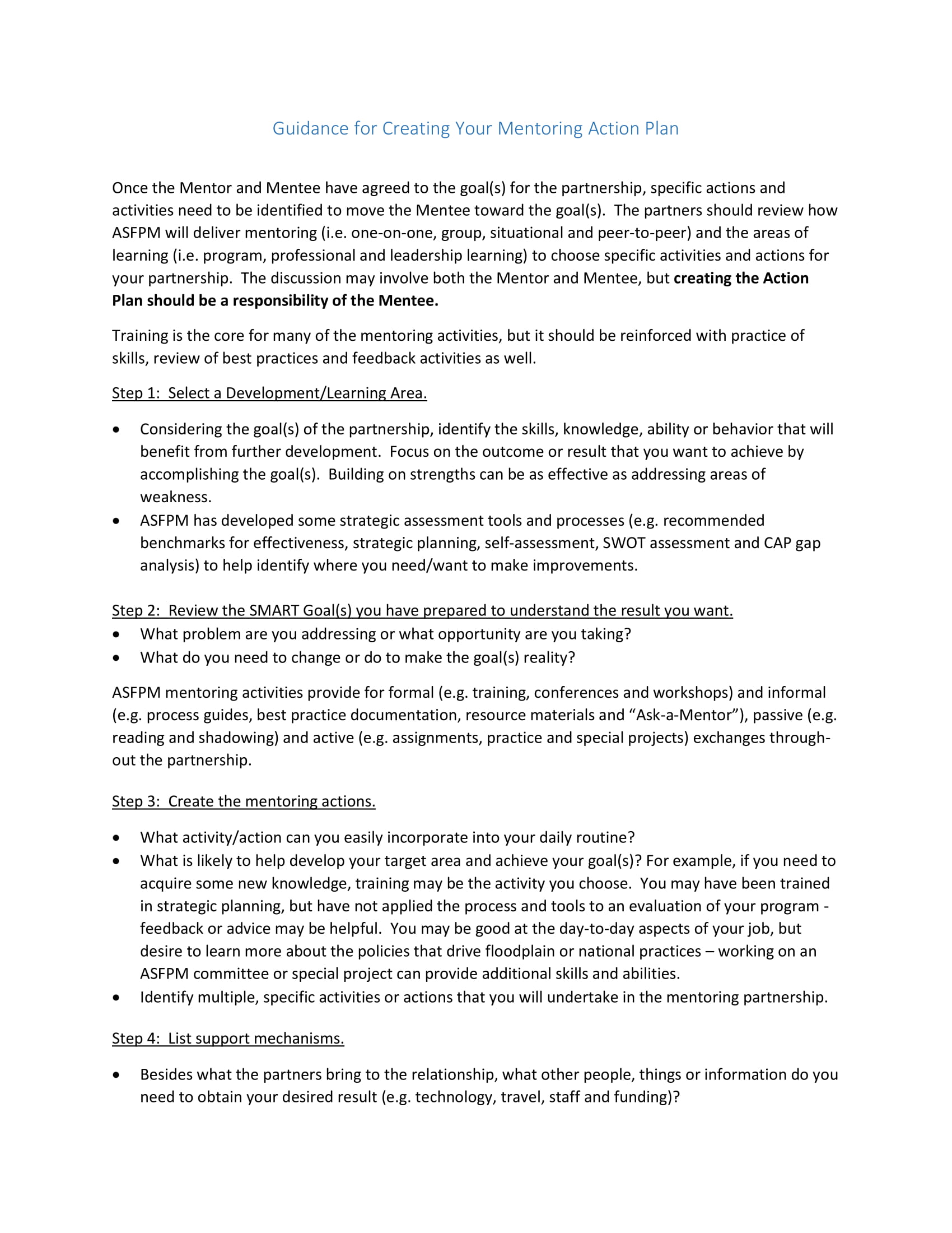 mentoring action plan guidelines example 12