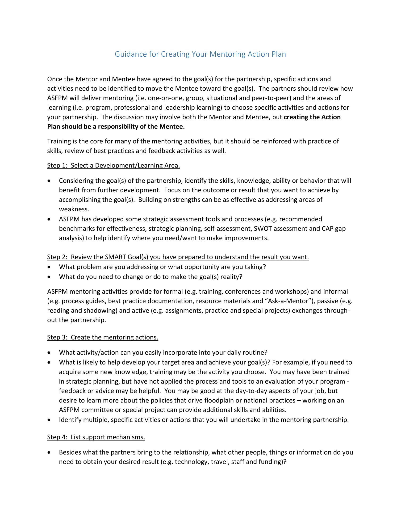 Mentoring Action Plan 9 Examples Format How To Make Pdf