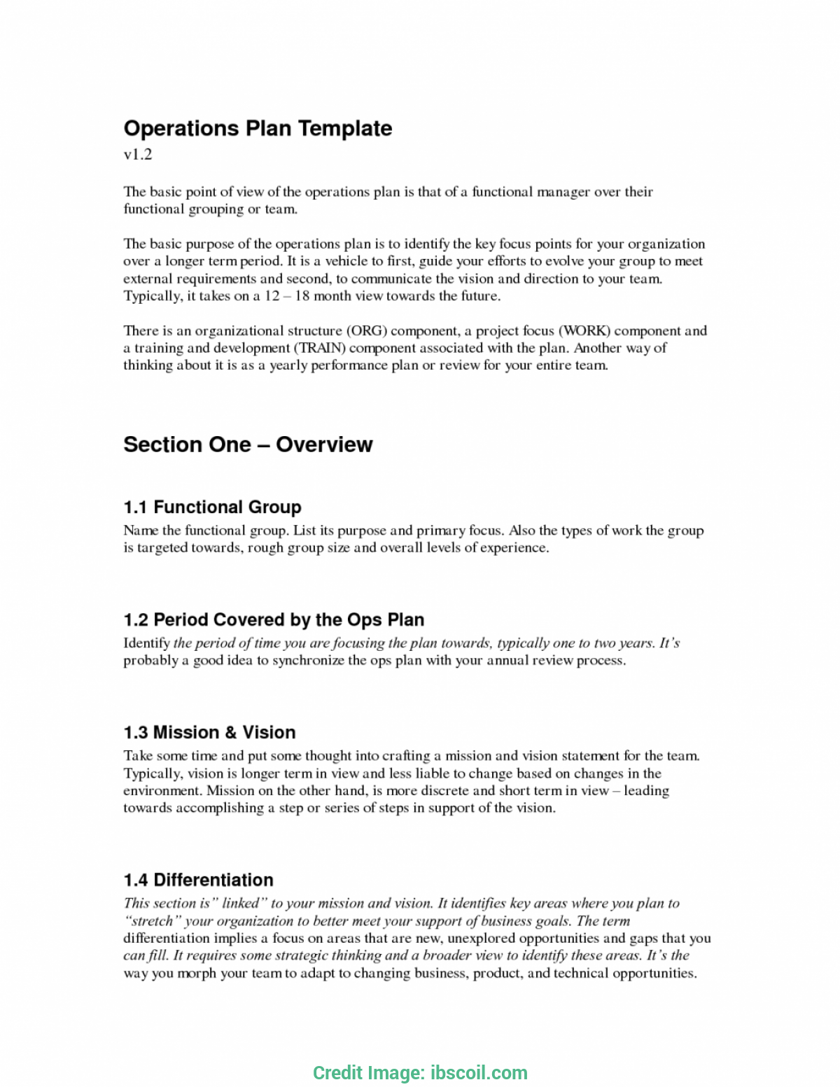 View Operations Plan Template Pics Infortant Document