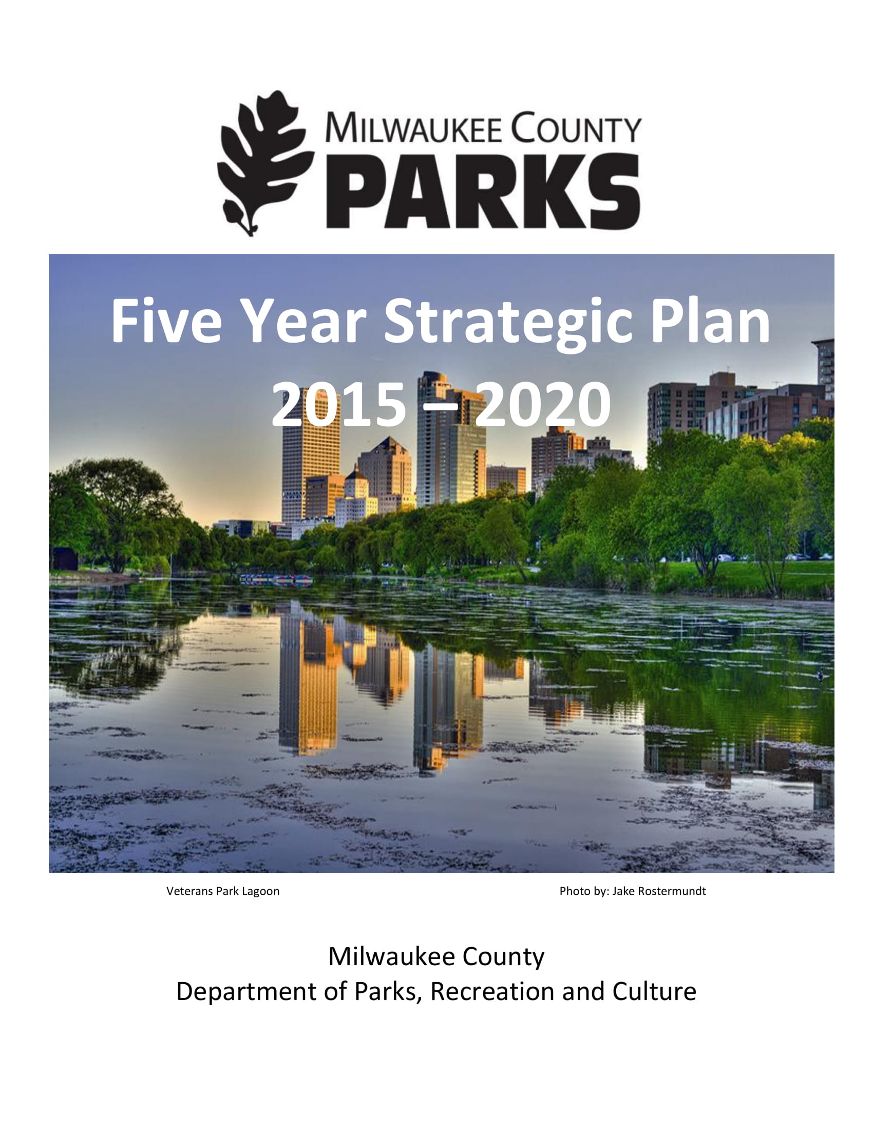 5 Year Strategic Plan 14 Examples Format Pdf Examples