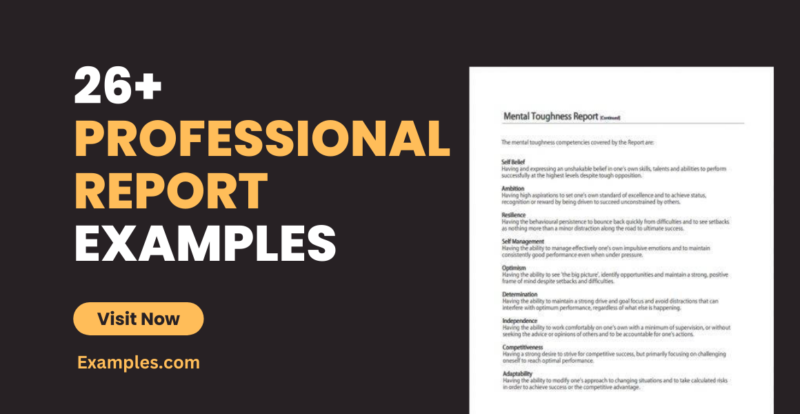 Professional Report Examples