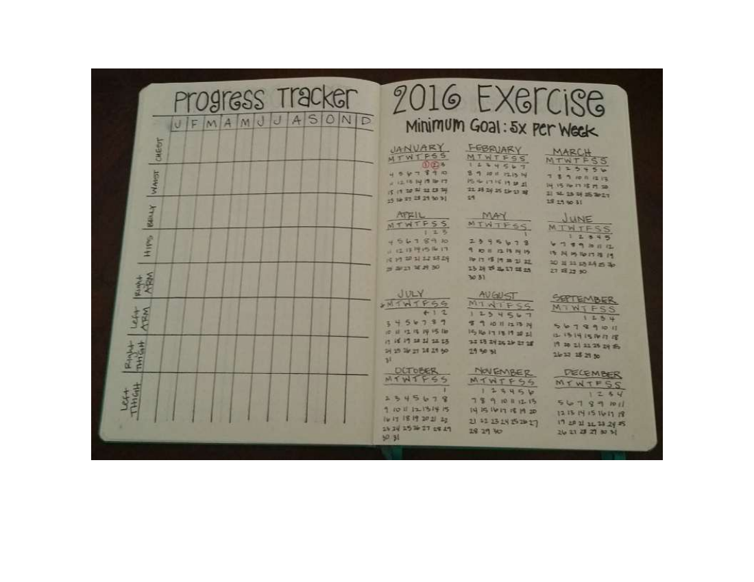 progress tracker fitness journal example