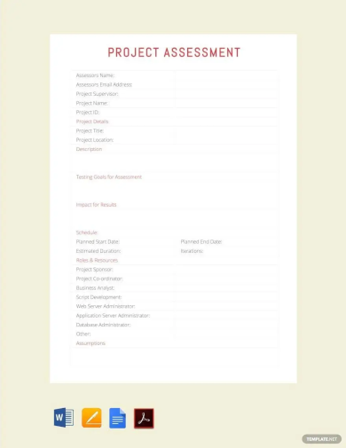 project assessment template